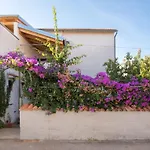 Anita Summer Apartment