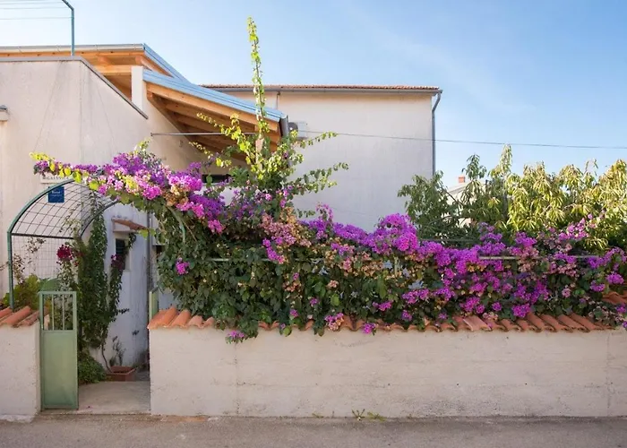 Anita Summer Apartamento